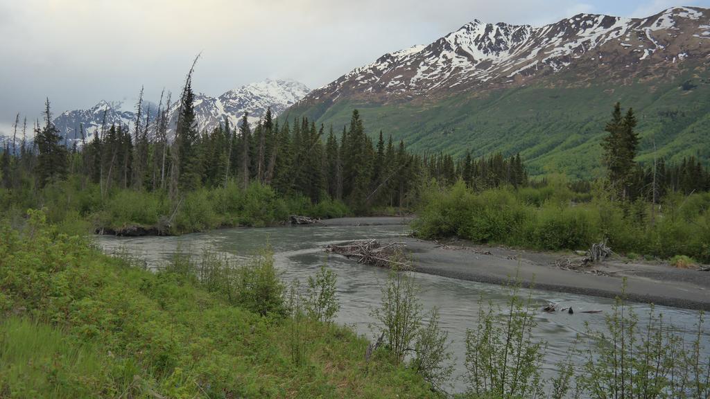 Eagle Peak Guesthouse Eagle River المظهر الخارجي الصورة